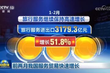 前两月我国服务贸易快速增长