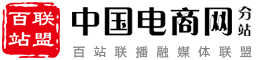 百站联盟-中国电商网